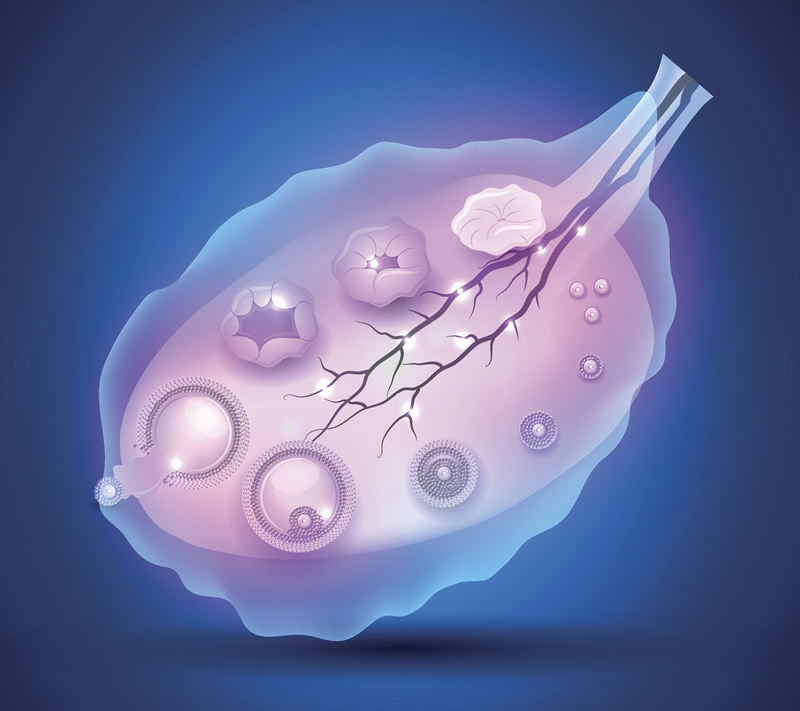 福州LGBT群体辅助生殖医院精选：福建省妇幼保健院等机构服务解析与生育指南